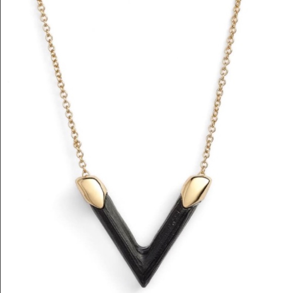 Alexis Bittar Lucite V-Shaped Pendant Necklace